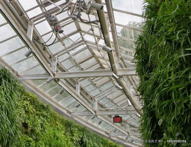 夢幻咖啡館植物墻