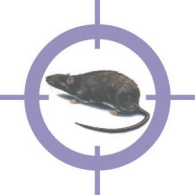 徐州那里最好滅四害圖片/徐州那里最好滅四害樣板圖 (3)