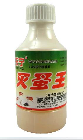 供應(yīng)辦公室有跳蚤好多、辦公室有跳蚤好多、辦公室有跳蚤好多