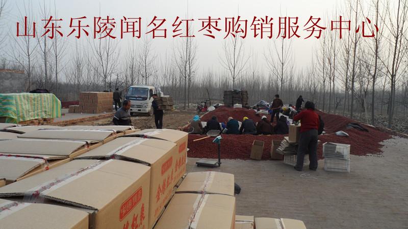 樂陵小棗價格圖片