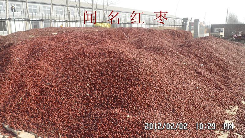 飼料級紅棗圖片