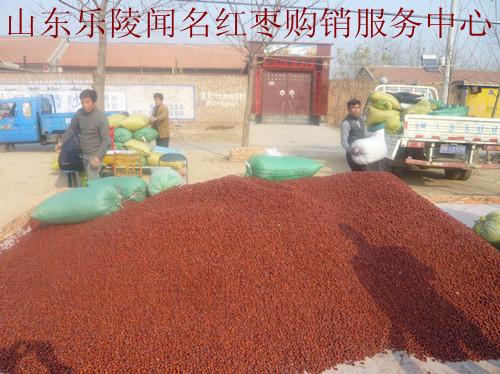 產(chǎn)地供應(yīng)有機(jī)富硒樂(lè)陵紅棗