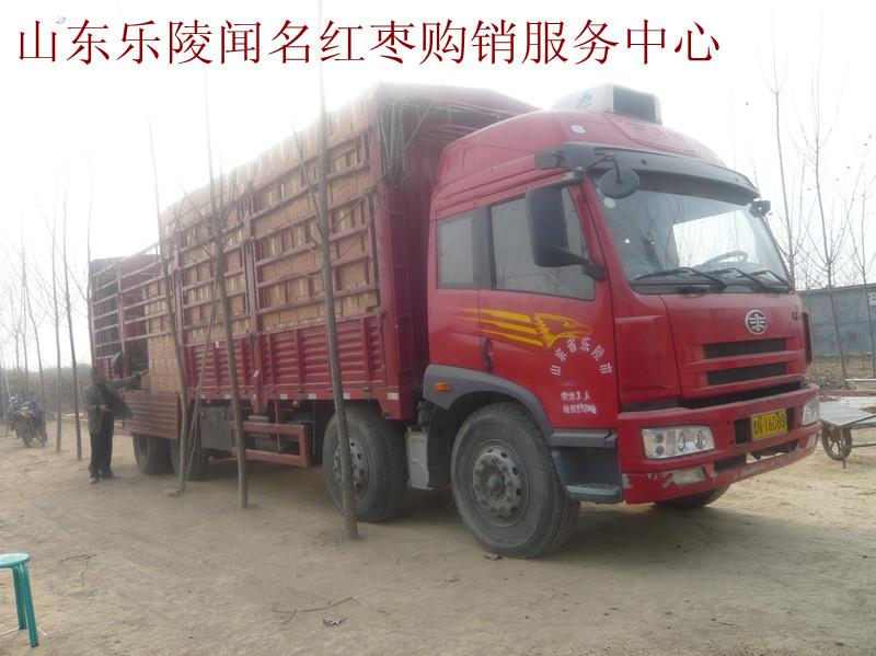 供應(yīng)金絲小棗批發(fā)樂陵金絲小棗價(jià)格