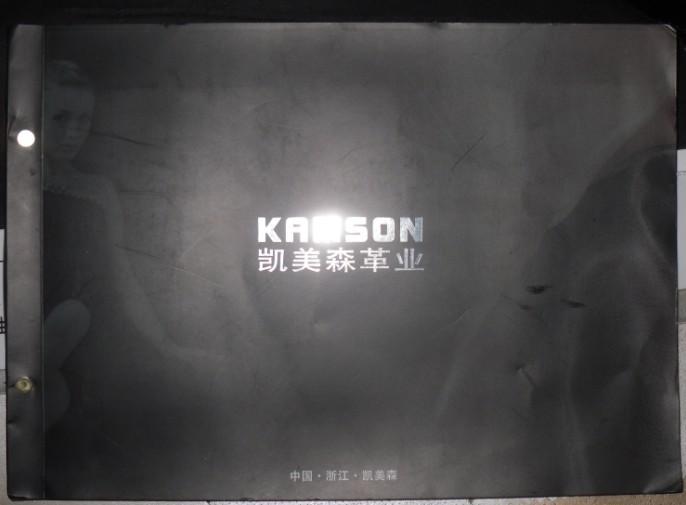 供應(yīng)KAMSON2012最給力新品