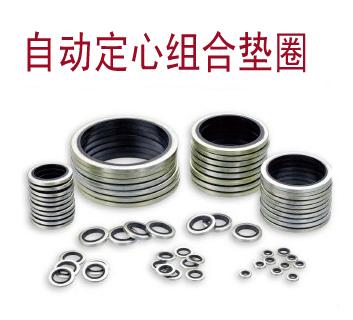 供應(yīng)組合墊圈，自動定心組合墊圈，組合墊圈工廠，組合墊圈報價組合墊