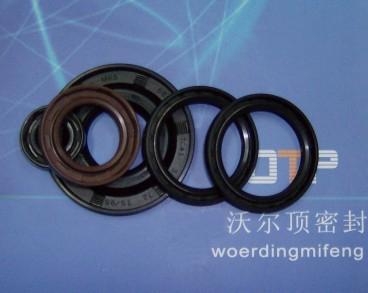 骨架油封圖片/骨架油封樣板圖 (2)