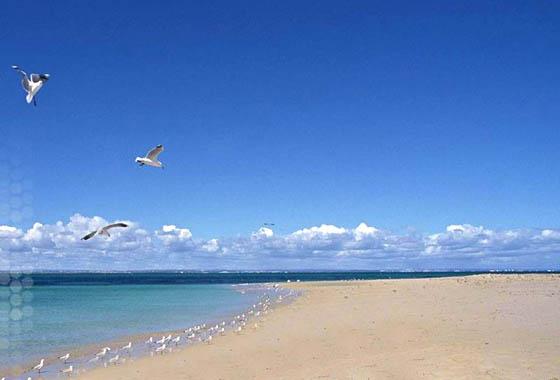 威海乳山銀灘海景房福如東海多少錢