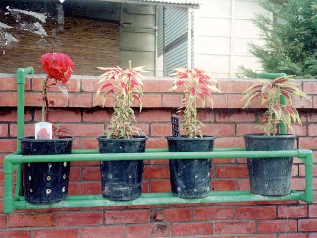 精益管線棒接頭圖片/精益管線棒接頭樣板圖 (3)