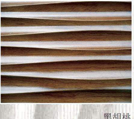 木皮波浪板圖片/木皮波浪板樣板圖 (2)