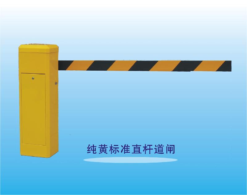 供應(yīng)東莞鳳崗大門升降桿