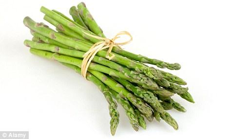 供應(yīng)*蘆筍種植有限公司