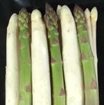 蘆筍種子標(biāo)準(zhǔn)及處理