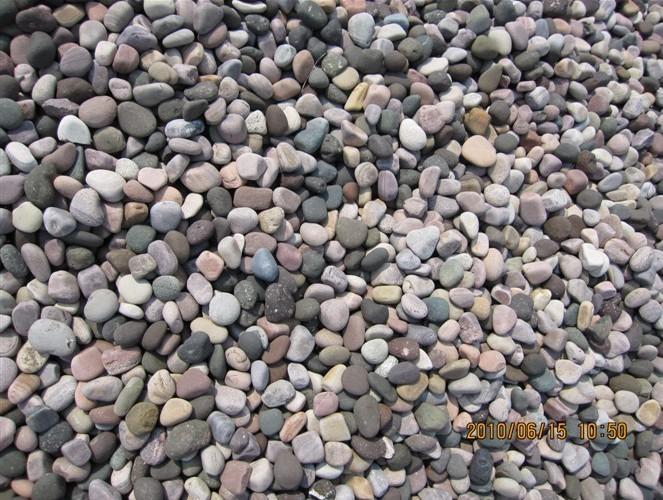 小浪底天然鵝卵石用于園林綠化專用圖片