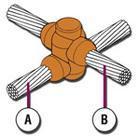 鍍銅鋼絞線圖片/鍍銅鋼絞線樣板圖 (2)