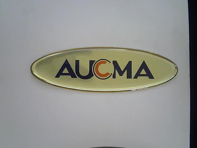 供應(yīng)佛山東銘塑料電鍍標(biāo)牌廠