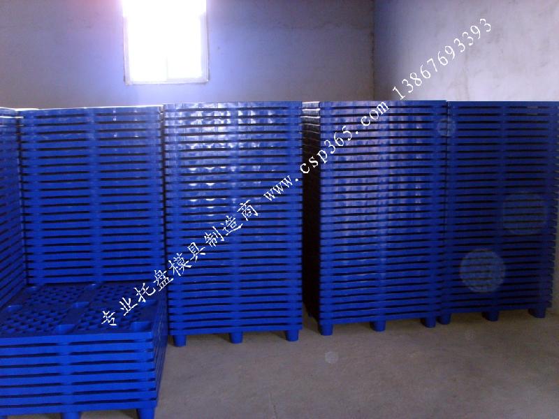 塑料托盤圖片/塑料托盤樣板圖 (4)