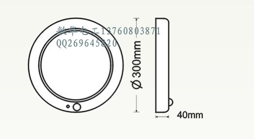 應(yīng)急燈 大號(hào)超薄吸頂燈 照明燈 感應(yīng)吸頂燈 應(yīng)急電源