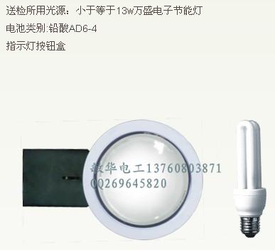 應(yīng)急電源 消防應(yīng)急電源 13W應(yīng)急電源 節(jié)能燈應(yīng)急電源