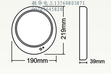 應(yīng)急燈 橢圓超薄吸頂燈 照明燈 感應(yīng)吸頂燈 吸頂燈廠家