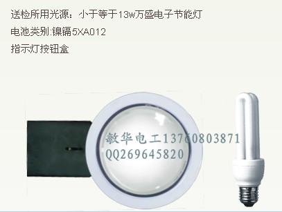 應(yīng)急電源 消防應(yīng)急電源 13W應(yīng)急電源 節(jié)能應(yīng)急電源 鐵殼 廠家*
