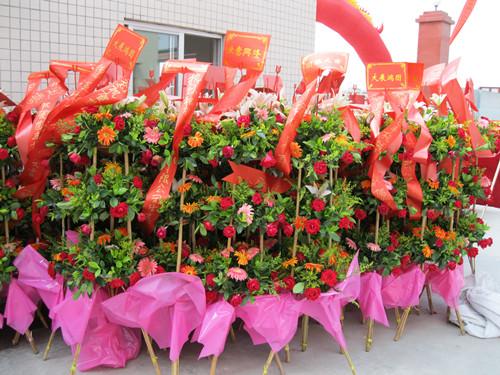 供應(yīng)東莞禮儀花籃臺花