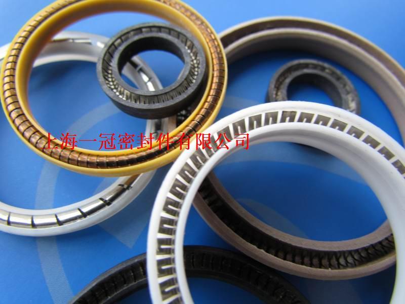 供應(yīng)LNGM密封圈耐低溫200度密封圈彈簧儲能密封圈進口圈報價