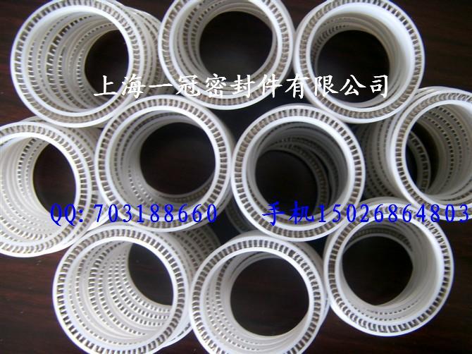 密封圈圖片/密封圈樣板圖 (2)