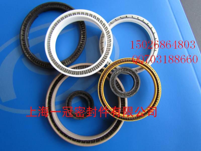 供應(yīng)LNGM密封圈耐低溫200度密封圈彈簧儲能密封圈進口圈報價