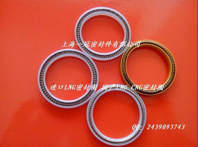 供應LNG加液槍密封圈/進口LNG加液槍密封圈