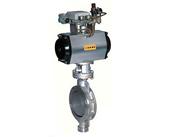 對(duì)夾式硬密封氣動(dòng)蝶閥圖片