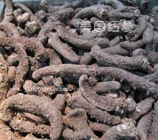 供應(yīng)海參美國(guó)海參進(jìn)口海參美國(guó)紅參