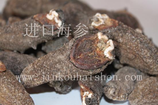 供應(yīng)八角海參公司電話，八角海參公司地址 美國海參肉參八角刺參元寶參八寶參 美國海參八角刺參元寶參八寶參批發(fā)