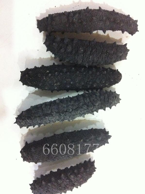 *海參 米刺海參帶刺土耳其海參漲發(fā)12斤