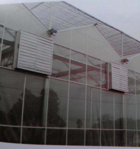 供應(yīng)九仙草鐵皮石斛*基地