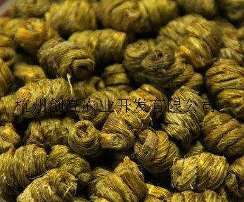 供應鐵皮楓斗種植，杭州鐵皮楓斗種植，浙江鐵皮楓斗種植