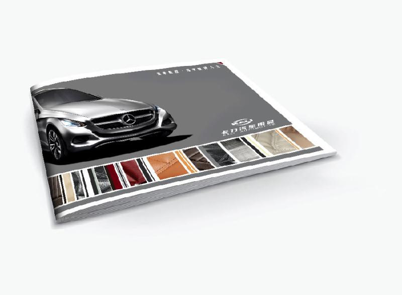 供應(yīng)國(guó)貿(mào)畫冊(cè)設(shè)計(jì)公司朝陽(yáng)畫冊(cè)設(shè)計(jì)呼家樓、光華路畫冊(cè)手提袋設(shè)計(jì)