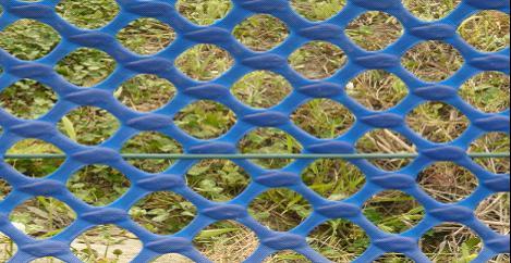 供應(yīng)公路風(fēng)吹雪防治網(wǎng)