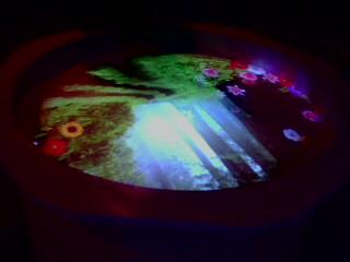 供應(yīng)西安科普展品鏡花緣