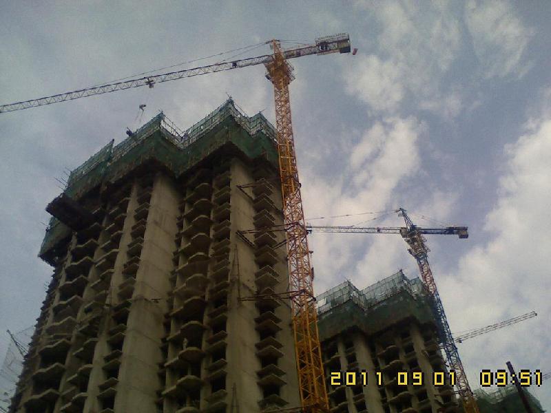 供應(yīng)河北塔吊租賃報價5009型5013型5610