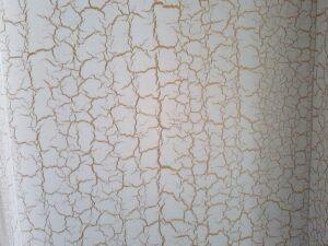 供應(yīng)長(zhǎng)沙裂紋漆