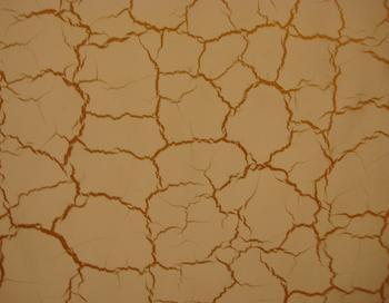 供應(yīng)長沙裂紋漆特性