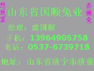 供應(yīng)*最少投資多少錢