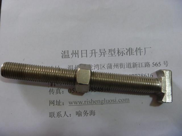 供應(yīng)非標(biāo)T型螺栓