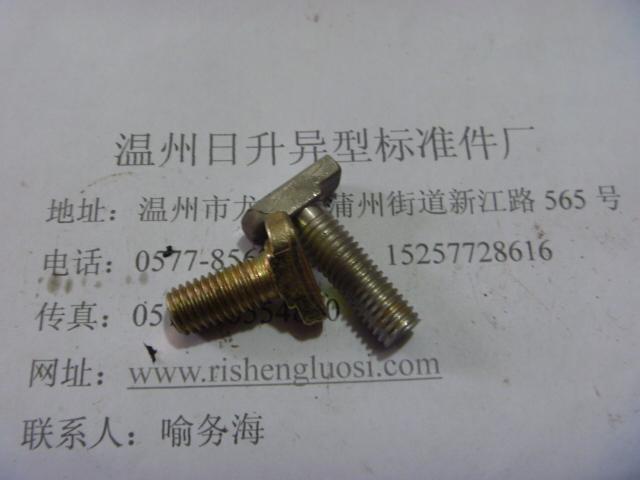 供應(yīng)非標(biāo)T型螺栓