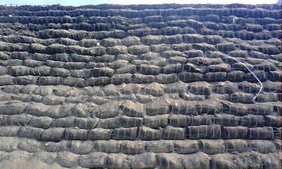 供應(yīng)優(yōu)質(zhì)*全丙綸生態(tài)袋