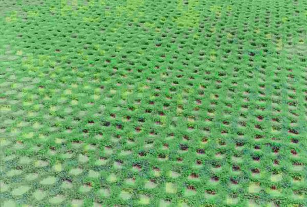 草坪綠化圖片/草坪綠化樣板圖 (4)