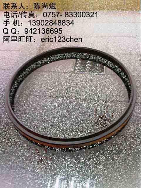 注塑機油封臺灣SOGGA密封件圖片