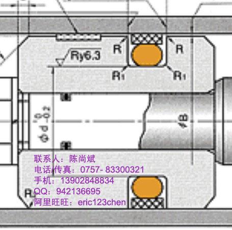 日本NOKSPGO密封件供應(yīng)代理