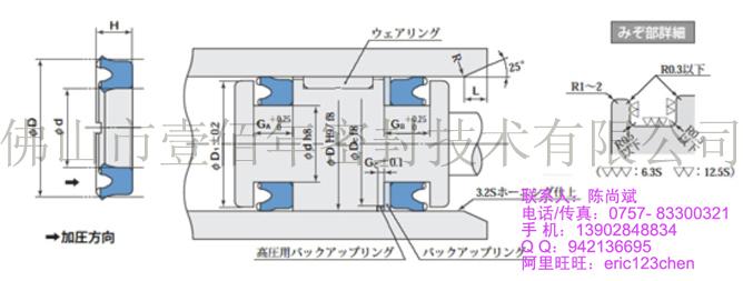 双联泵油封日本阪上PGY密封件图片