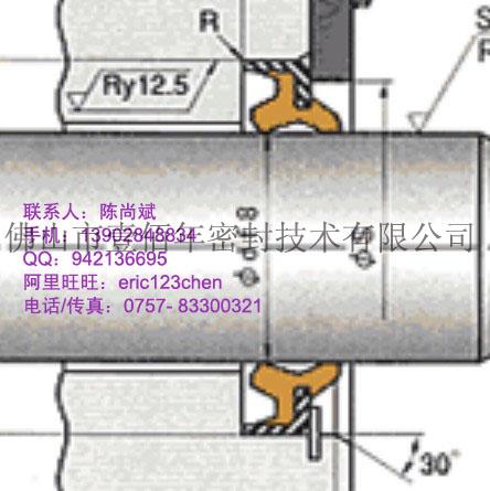 供應(yīng)增壓缸日本NOKDKB密封密封件，防塵型油封